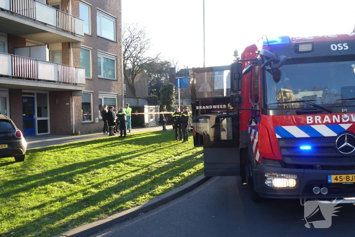 Flinke schade nadat auto tegen flat rijdt