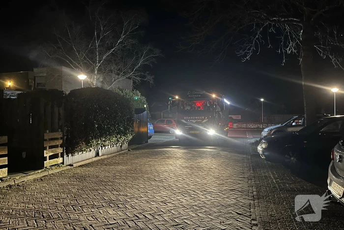 Brand in bosschage snel onder controle
