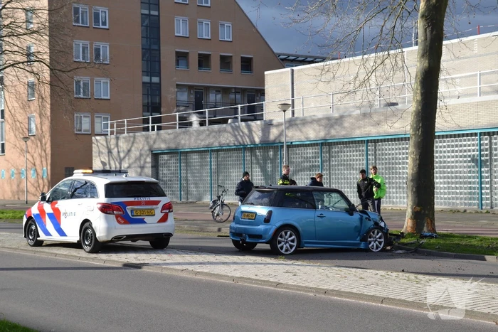 Automobilist eindigt tegen boom