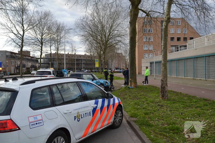 Automobilist eindigt tegen boom