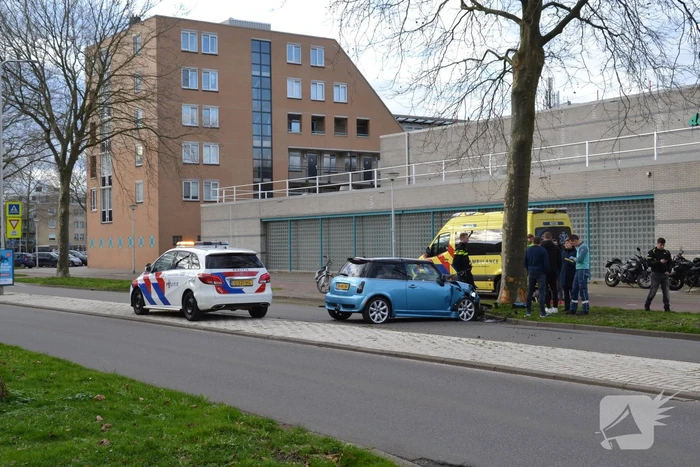 Automobilist eindigt tegen boom