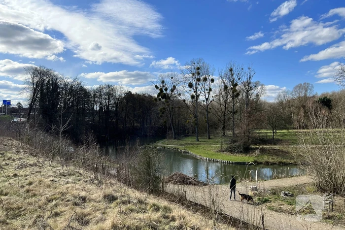 Gebied groot afgezet naar persoon te water