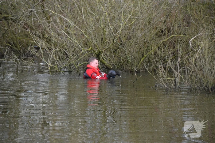 Meerkoet raakt verstrikt en wordt gered door brandweer