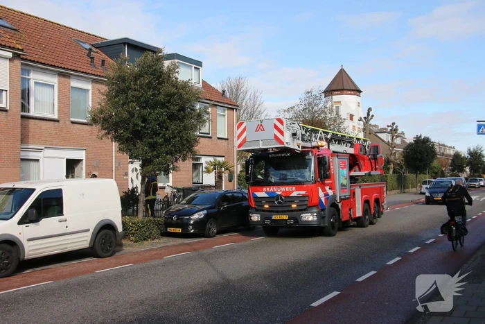 Vogel gevlogen bij reddingsactie