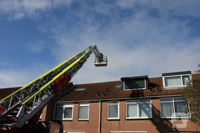 Vogel gevlogen bij reddingsactie