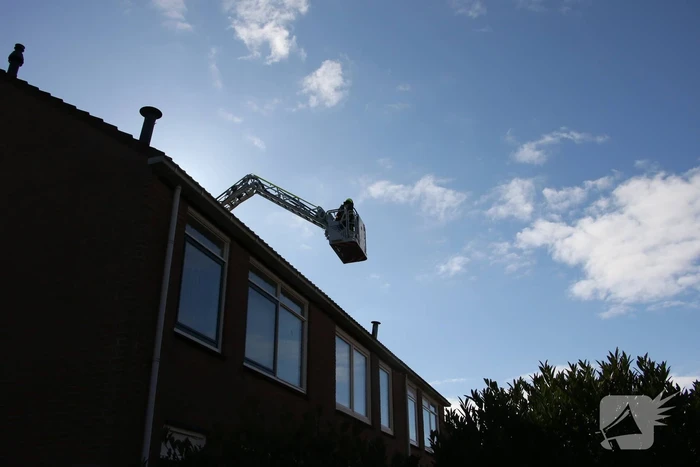 Vogel gevlogen bij reddingsactie