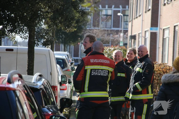 Vogel gevlogen bij reddingsactie