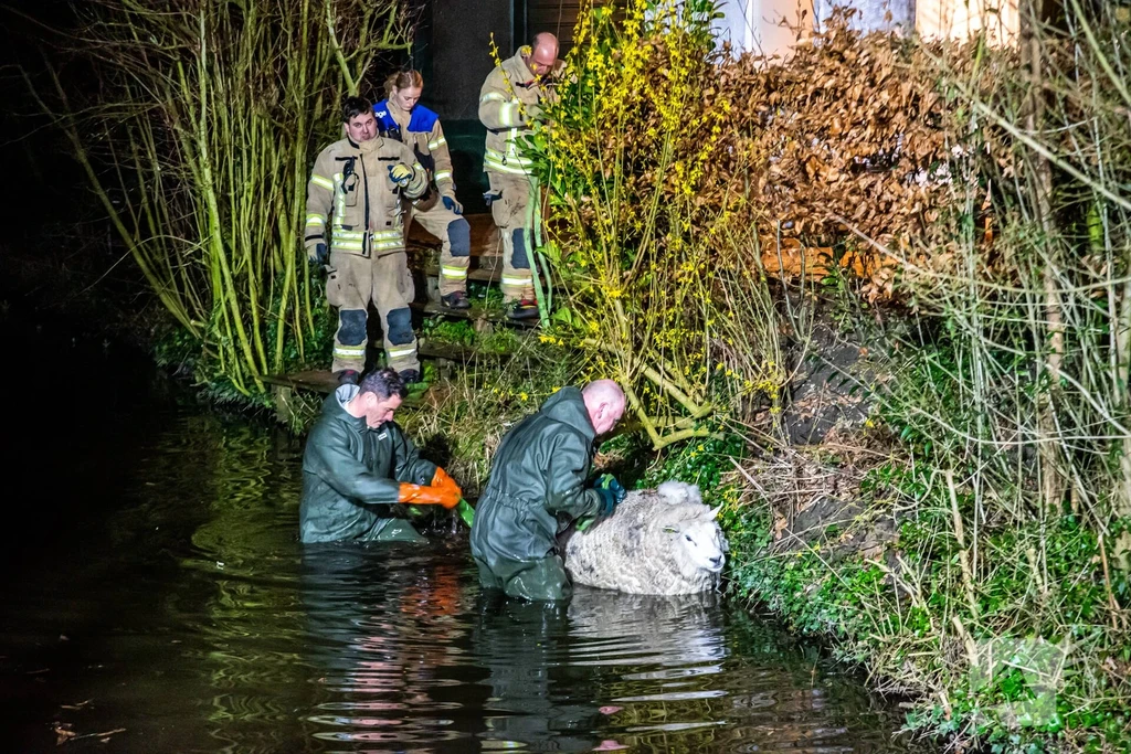 Molendijk 112 melding Rhoon 
