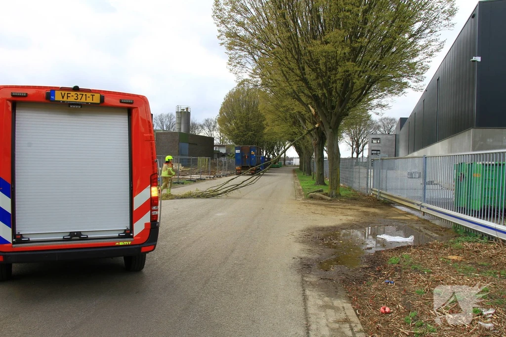 Hoolstraat 112 melding Weert 