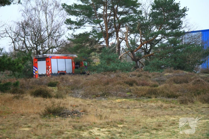 Brand in bosgebied snel geblust