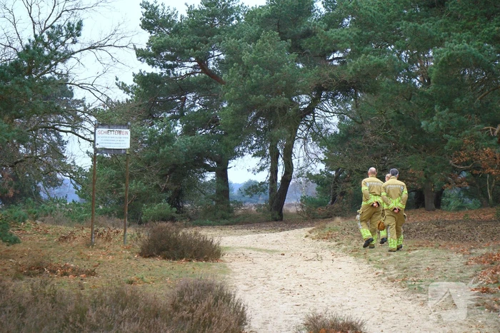 Brand in bosgebied snel geblust