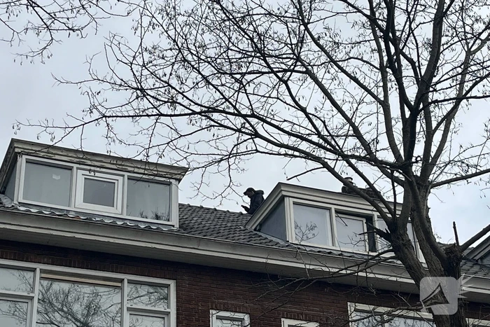 Politie groots ingezet voor persoon op dak van flat