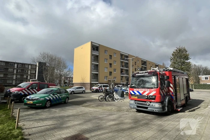 milieu naberstraat rotterdam