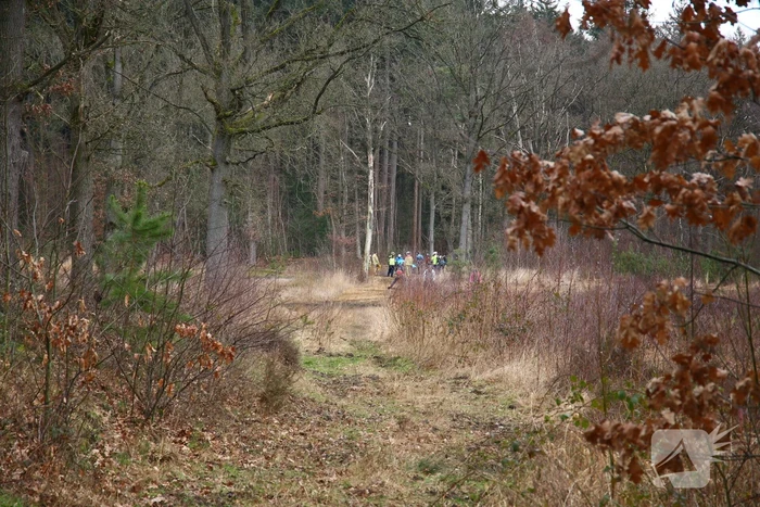 Mountainbiker gewond na val in bos