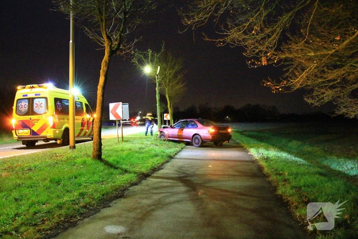 Automobilist botst tegen boom