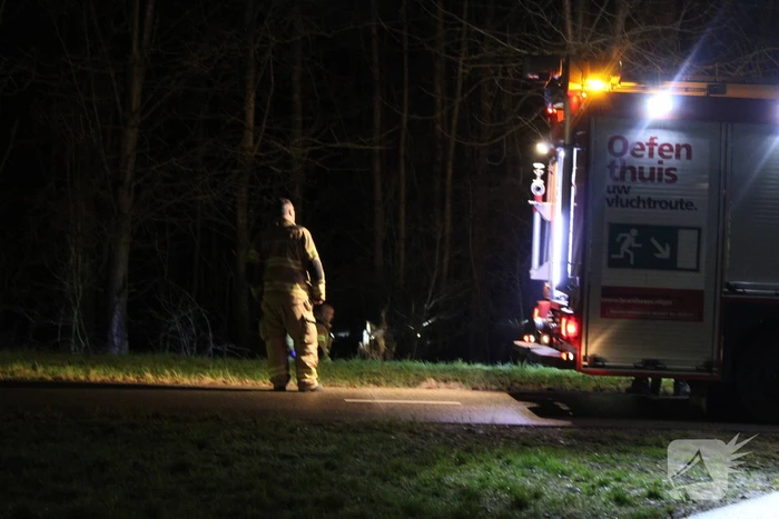 Brandweer blust brandende boom