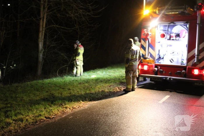Brandweer blust brandende boom