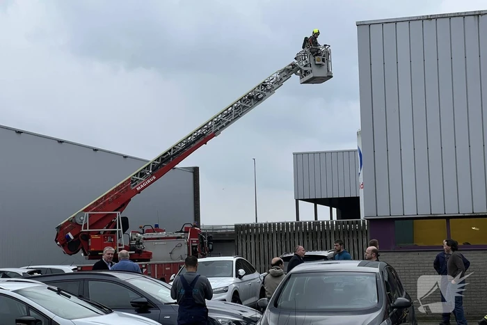 Vogelnest in lichtkoepel vliegt in brand