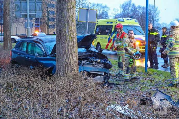 Automobilist eindigt tegen boom