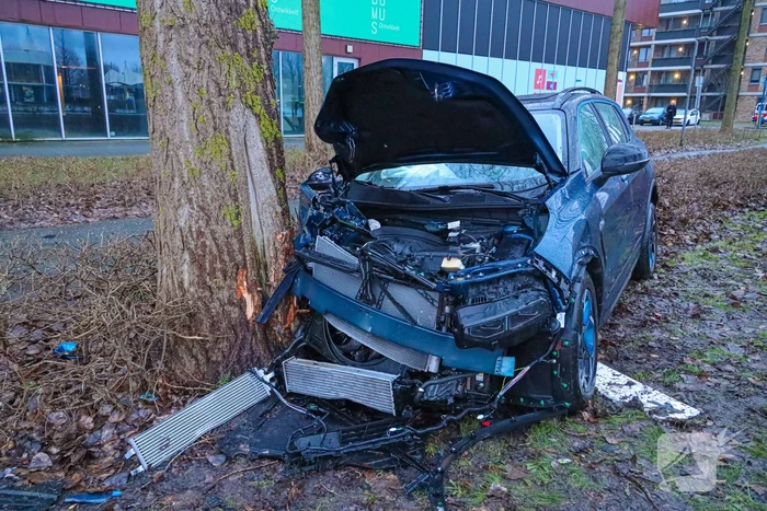 Automobilist eindigt tegen boom