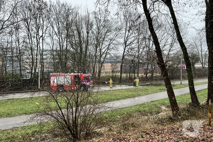 Weg geblokkeerd door omgewaaide boom