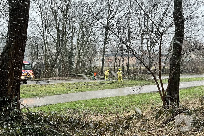 Weg geblokkeerd door omgewaaide boom