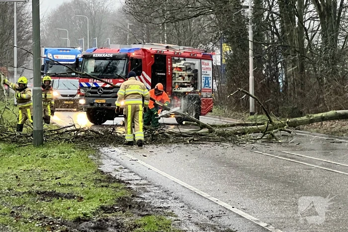 Weg geblokkeerd door omgewaaide boom