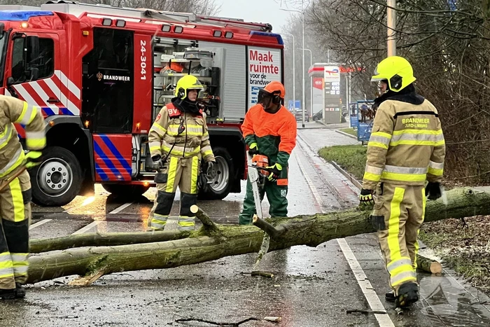 Weg geblokkeerd door omgewaaide boom