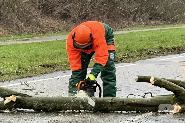 Weg geblokkeerd door omgewaaide boom