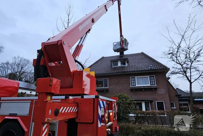 brand van borsselelaan ede