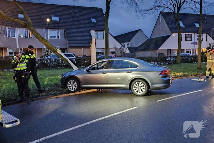 Boom door midden bij aanrijding