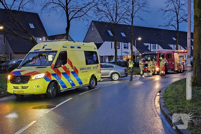 Boom door midden bij aanrijding