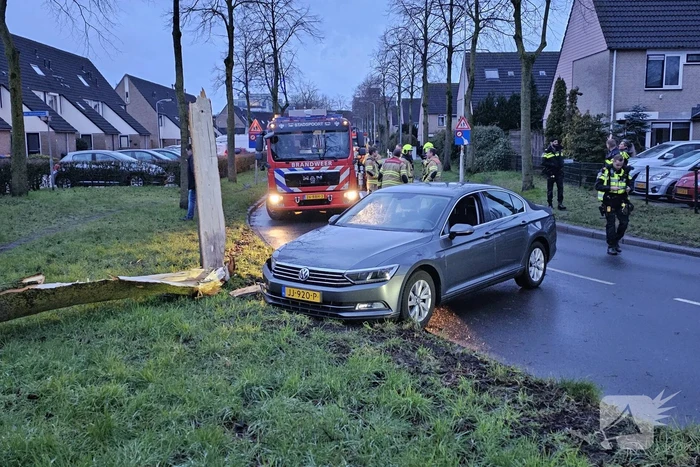 Boom door midden bij aanrijding