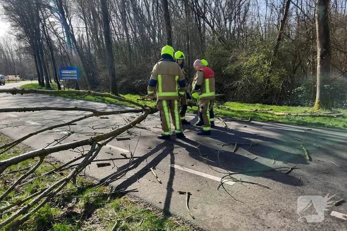 natuur genieweg velsen-zuid