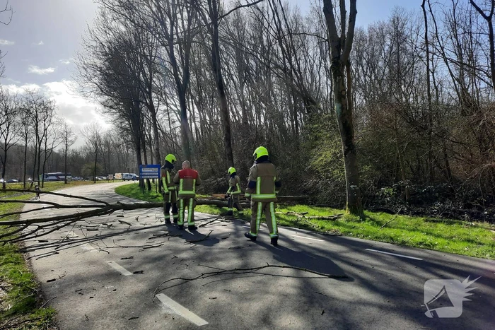Omgewaaide bomen blokkeren weg