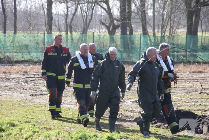 Brandweer redt vier schapen uit de sloot