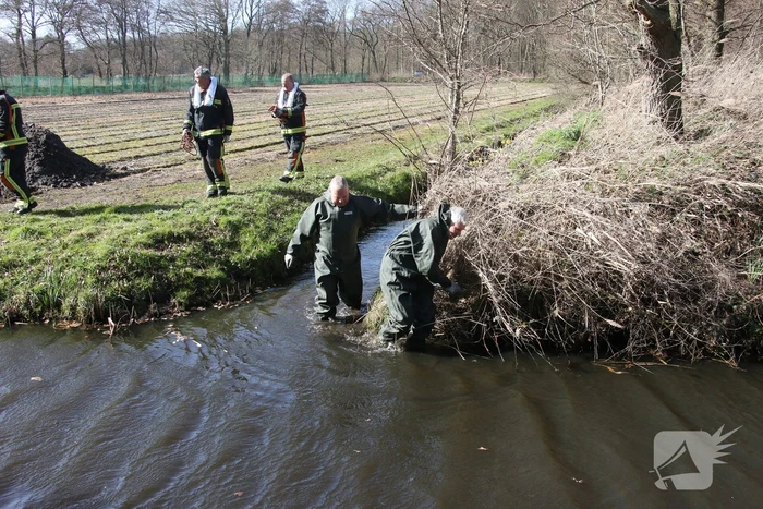 Brandweer redt vier schapen uit de sloot
