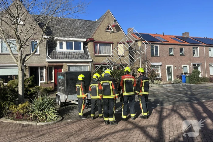 natuur julianaplein boskoop