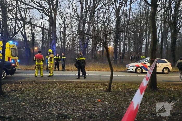 Zwaargewonde nadat personenauto zich in boom boort