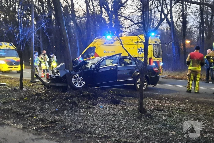 Zwaargewonde nadat personenauto zich in boom boort