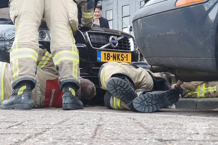 Brandweer bevrijdt kat uit motorcompartiment