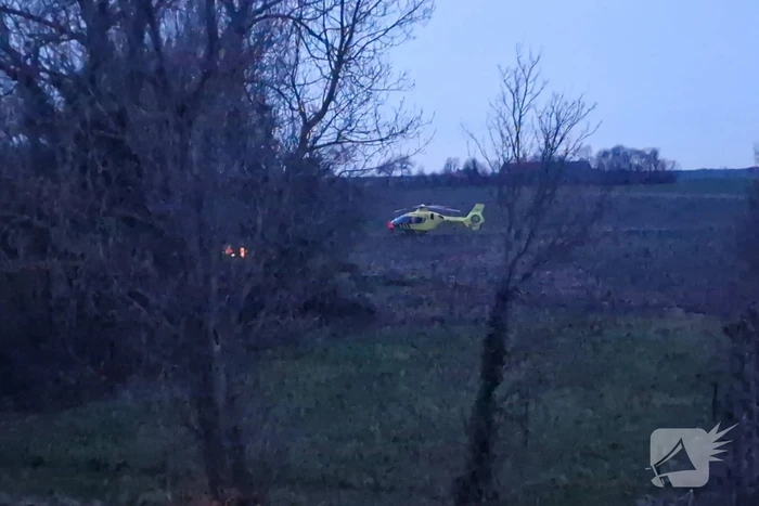 Persoon overleden door omvallende boom