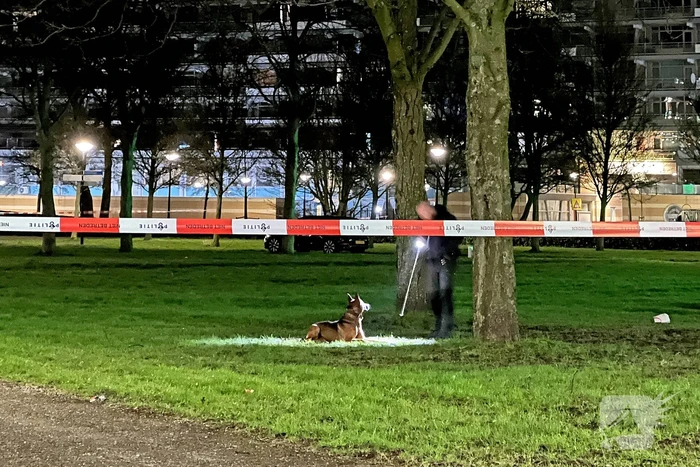 Schoten gelost bij woningoverval