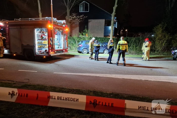 Twee gewonden bij frontale botsing tegen boom