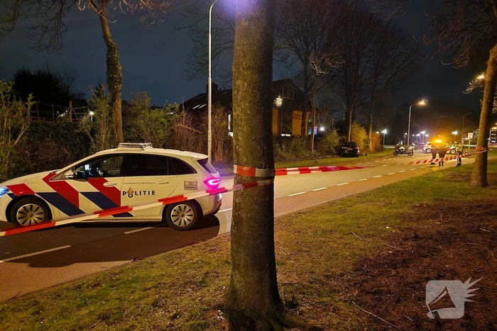 Twee gewonden bij frontale botsing tegen boom