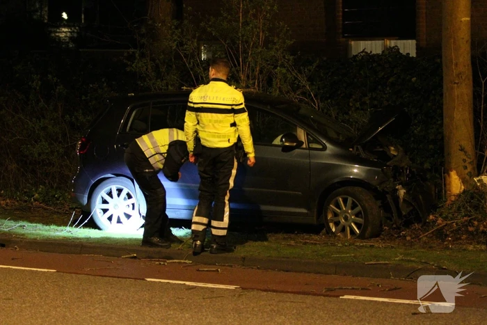Twee gewonden bij frontale botsing tegen boom