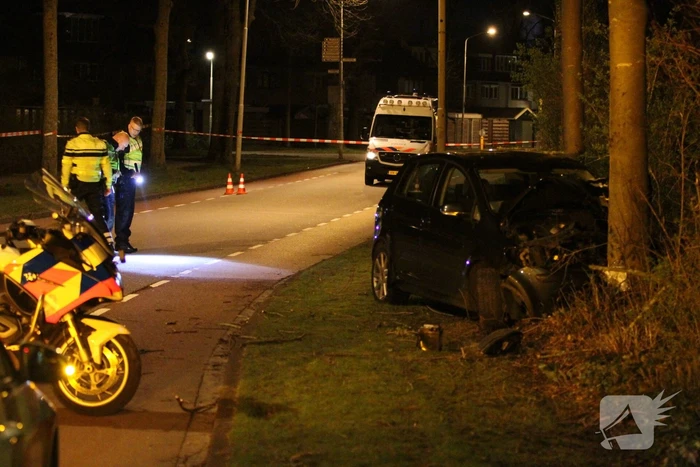 Twee gewonden bij frontale botsing tegen boom