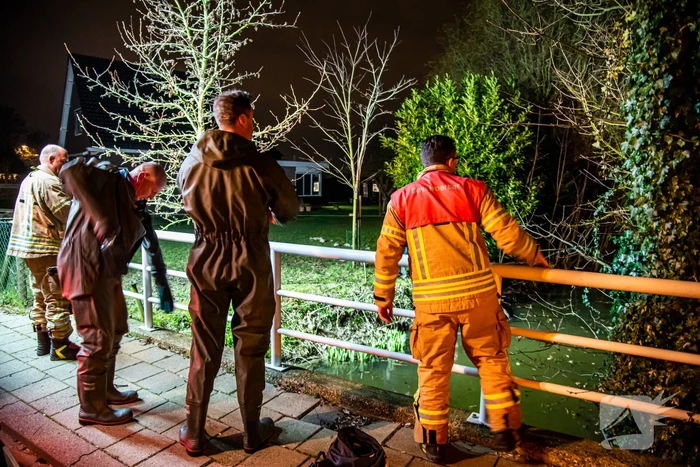 Meerdere schapen springen in sloot door ontsnapte honden, één schaap overleden