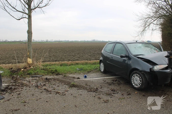 Automobilist botst tegen boom