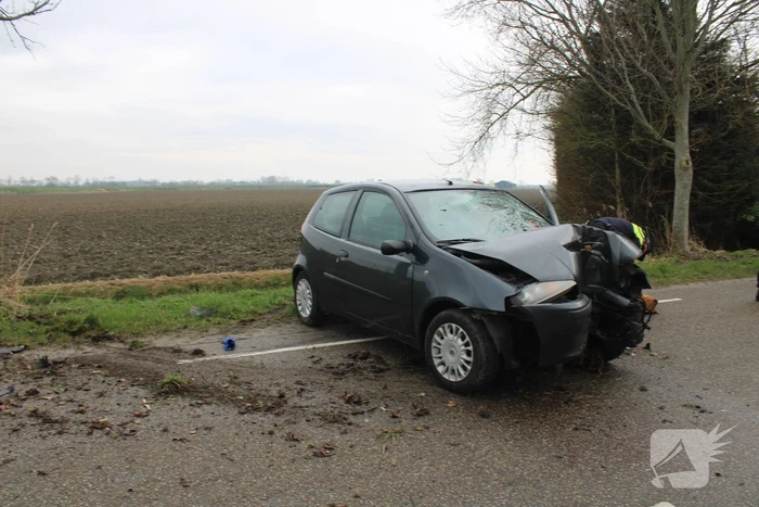 Automobilist botst tegen boom